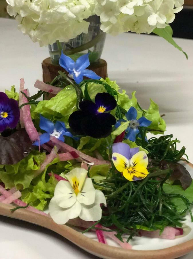 Ichinokurasou Hotel Hakuba Bagian luar foto